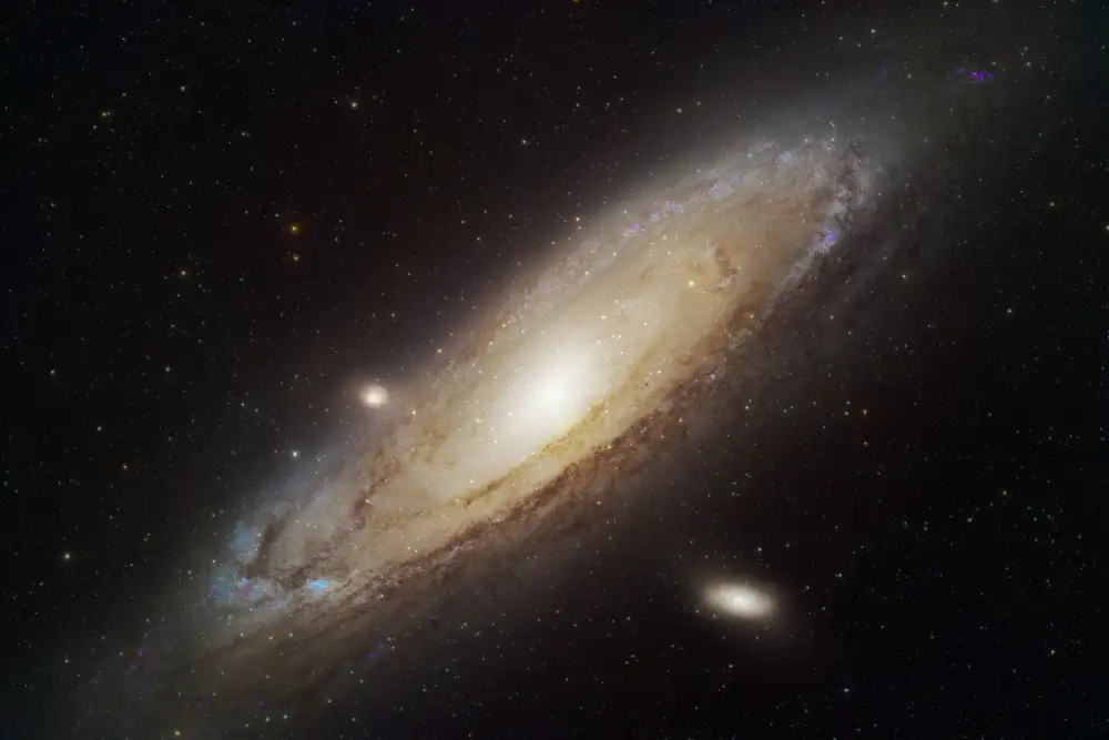 D., Maria Jose: Andromeda