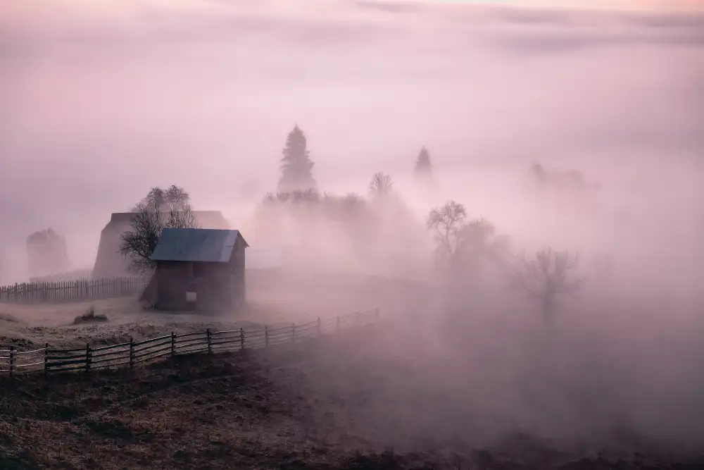 Prioteasa, Sebastian: Niebla de la manana