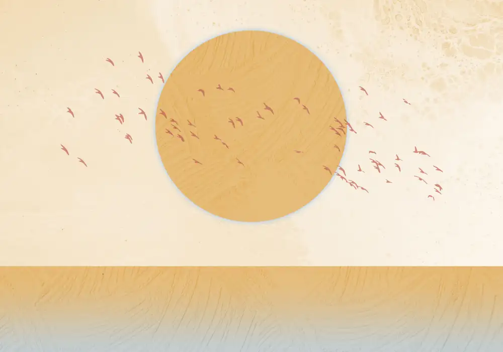 Roze, Fadil: soleil d'Or