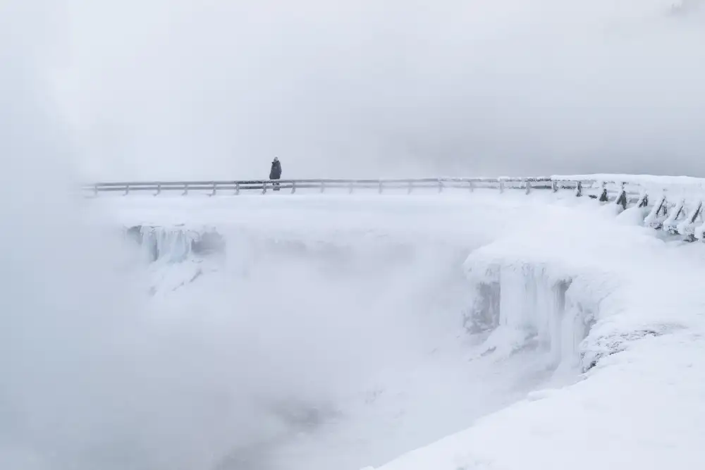 Landolt, Susanne: Freezing