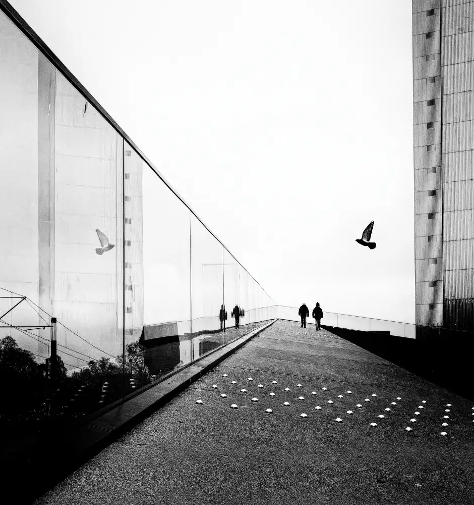 Timar, Andreas: Reflexionen