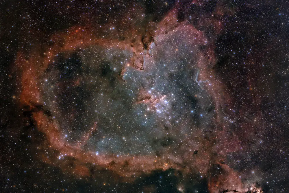 D., Maria Jose: Nebulosa del cuore