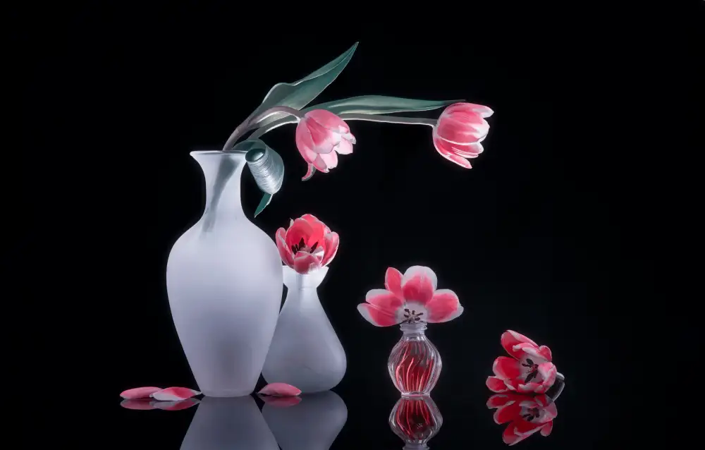 Sheng, Alice: still life 73