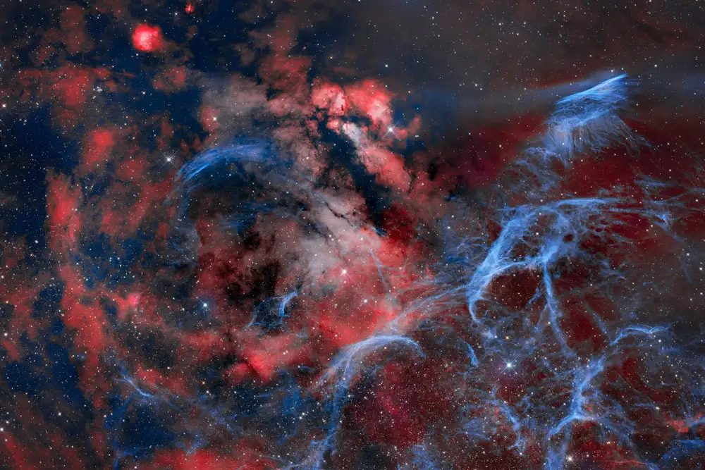 Chander, Vikas: Vela Widefield