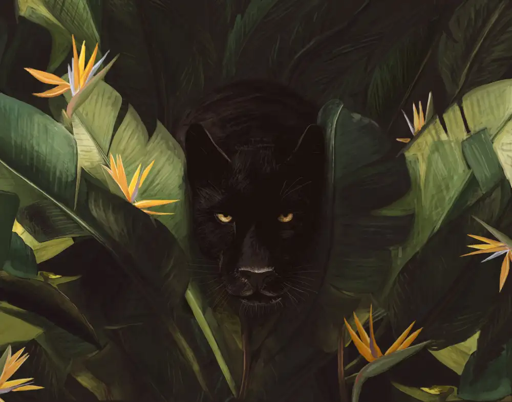 Bodart, Florent: Hello Panther