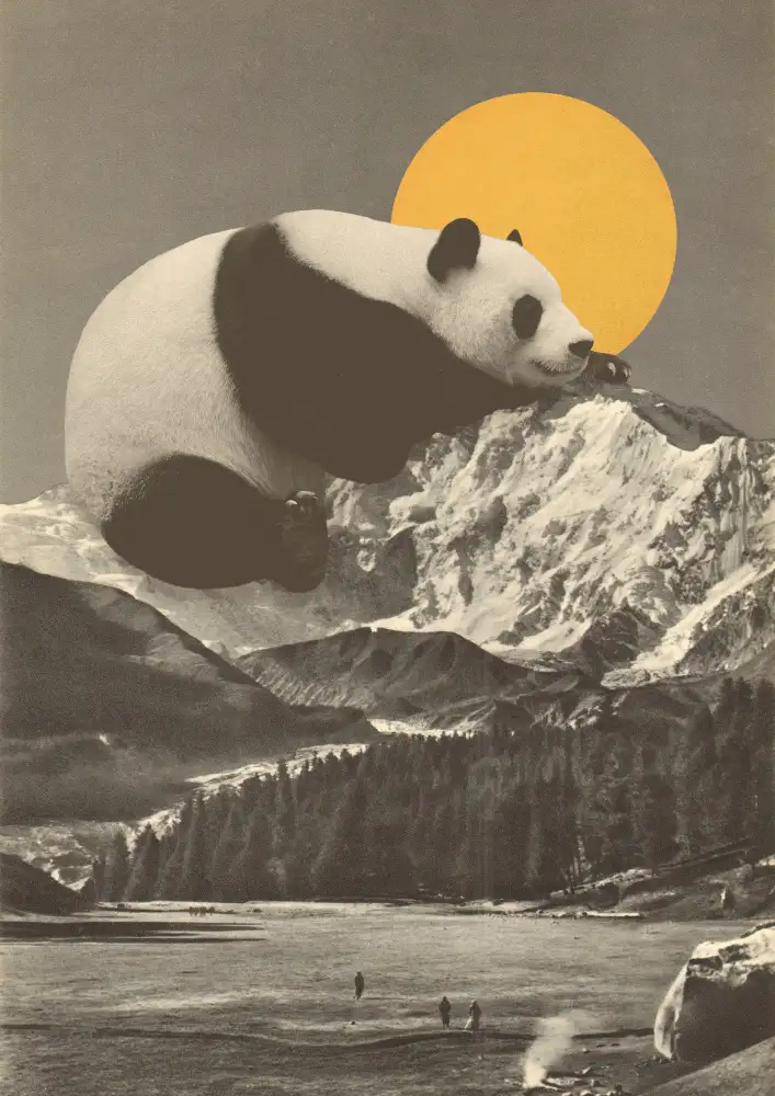 Bodart, Florent: Giant Panda Nap
