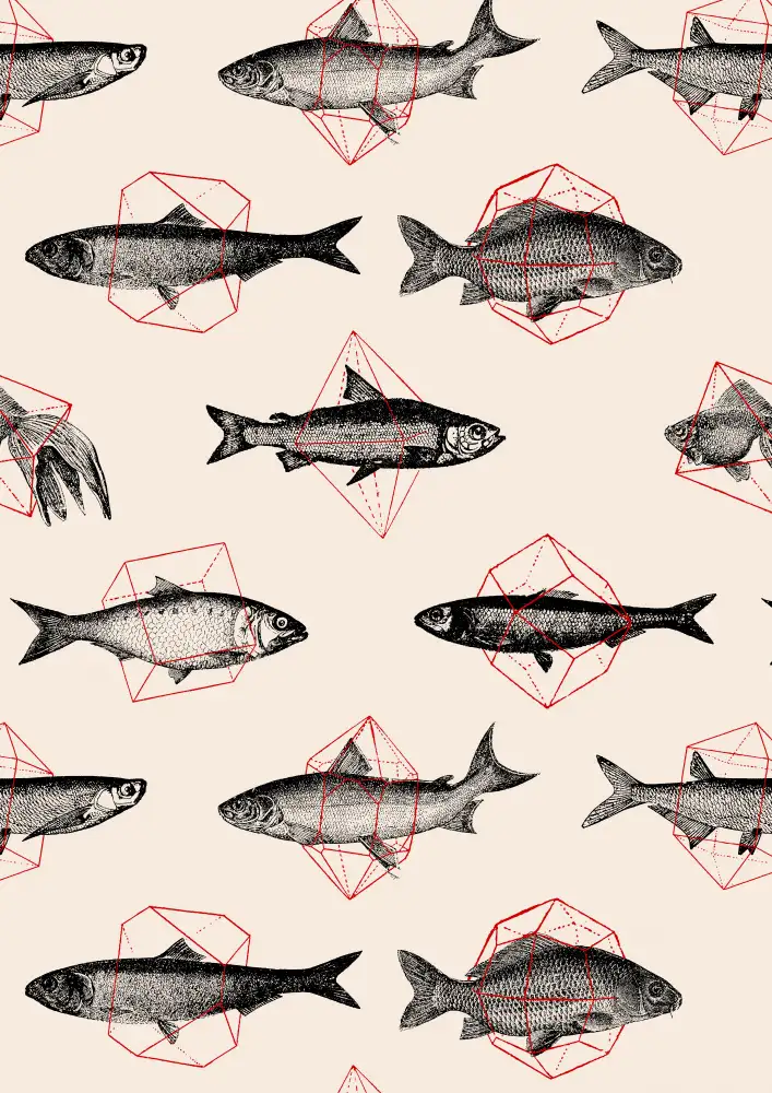 Bodart, Florent: Fishes In Geometrics Nº4