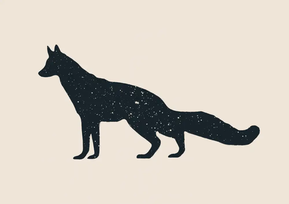 Bodart, Florent: Fuchs
