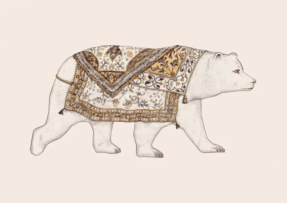 Bodart, Florent: Ours Blanc