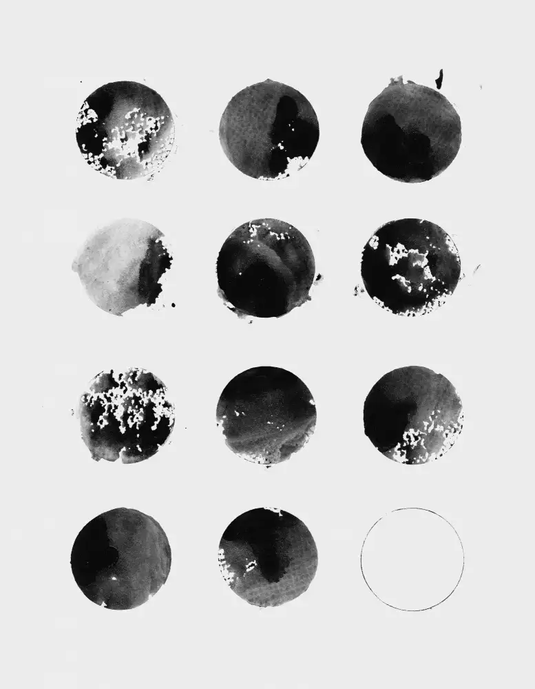 Bodart, Florent: Twelve Moons