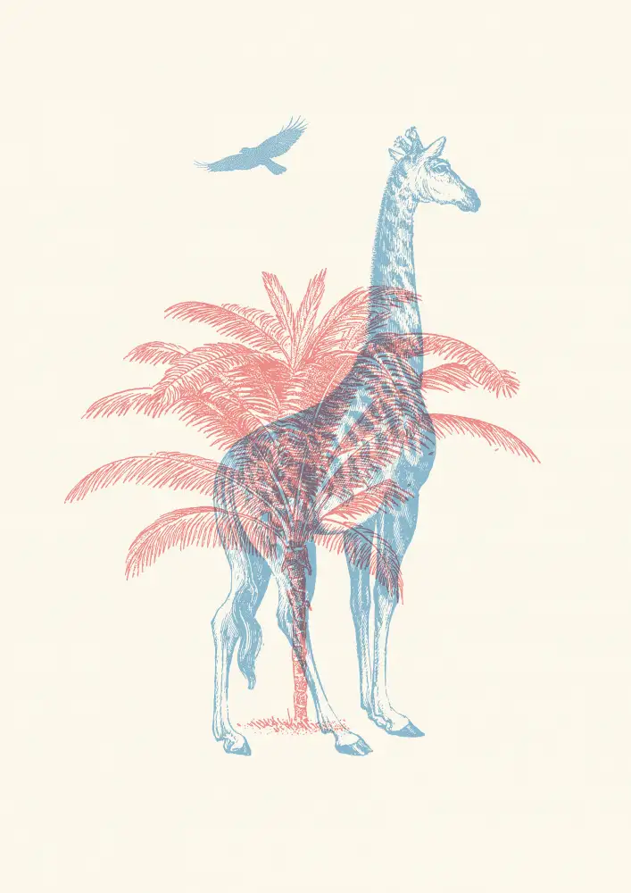 Bodart, Florent: Giraffa