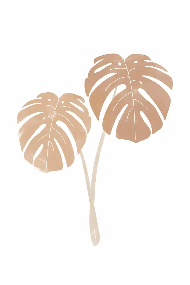 Prints, Art Melloi: Monstera Plants