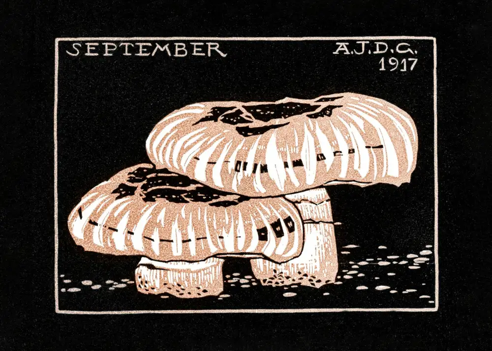 Graag, De Julie: September 1917