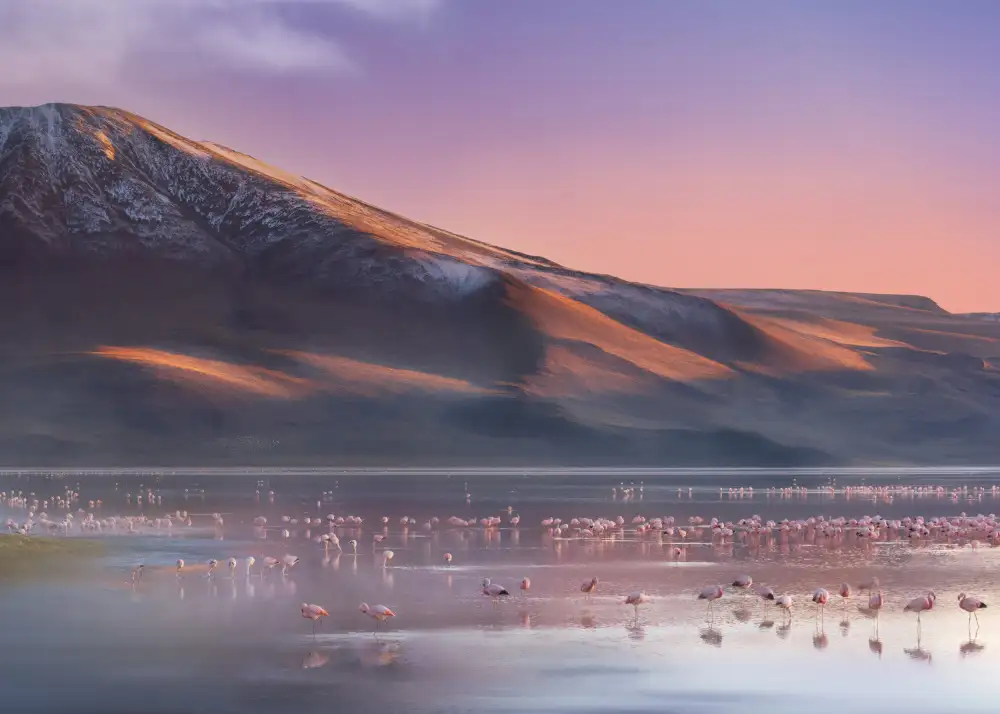 Liang, Ken: Laguna Colorada Mattina