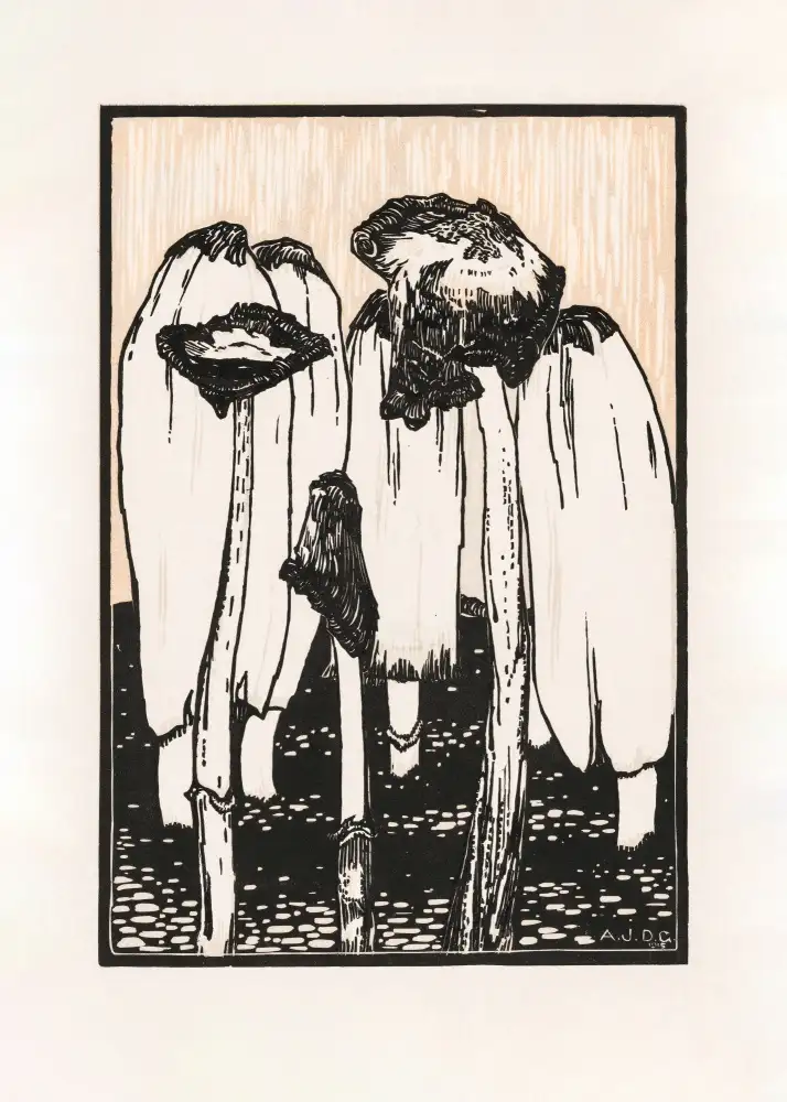 Graag, De Julie: Funghi d'inchiostro (1915)