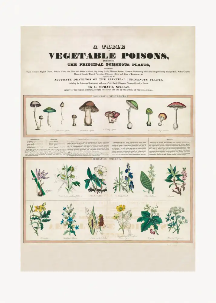 Madeley, Edward George: Champignons vénéneux Poisons irritants