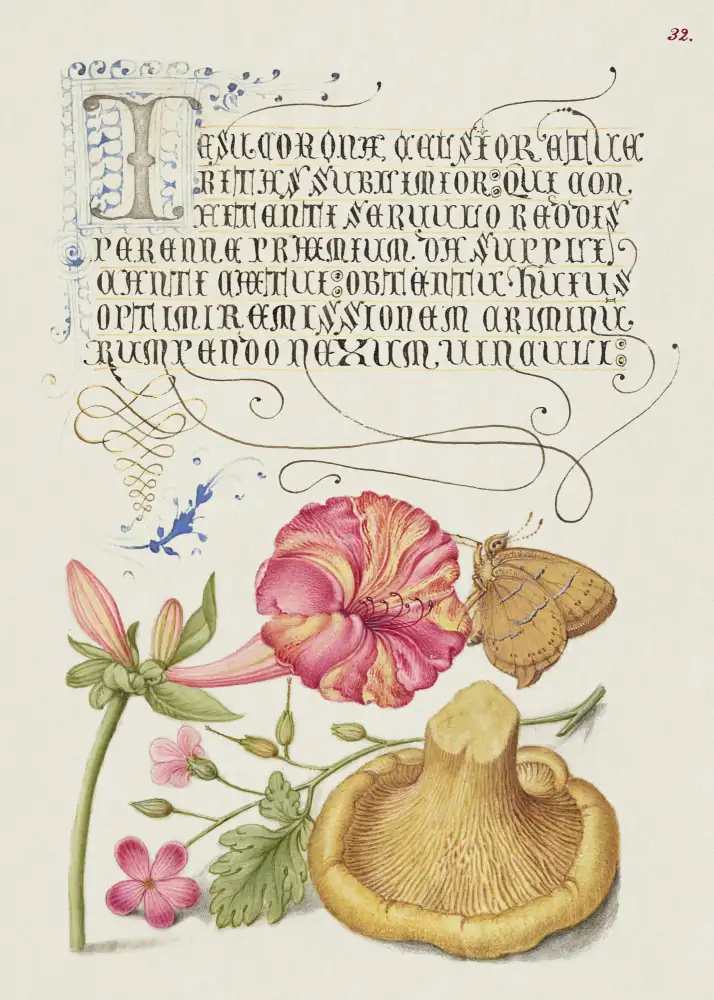 and, Bocskay Georg: Mira Calligraphiae Monumenta