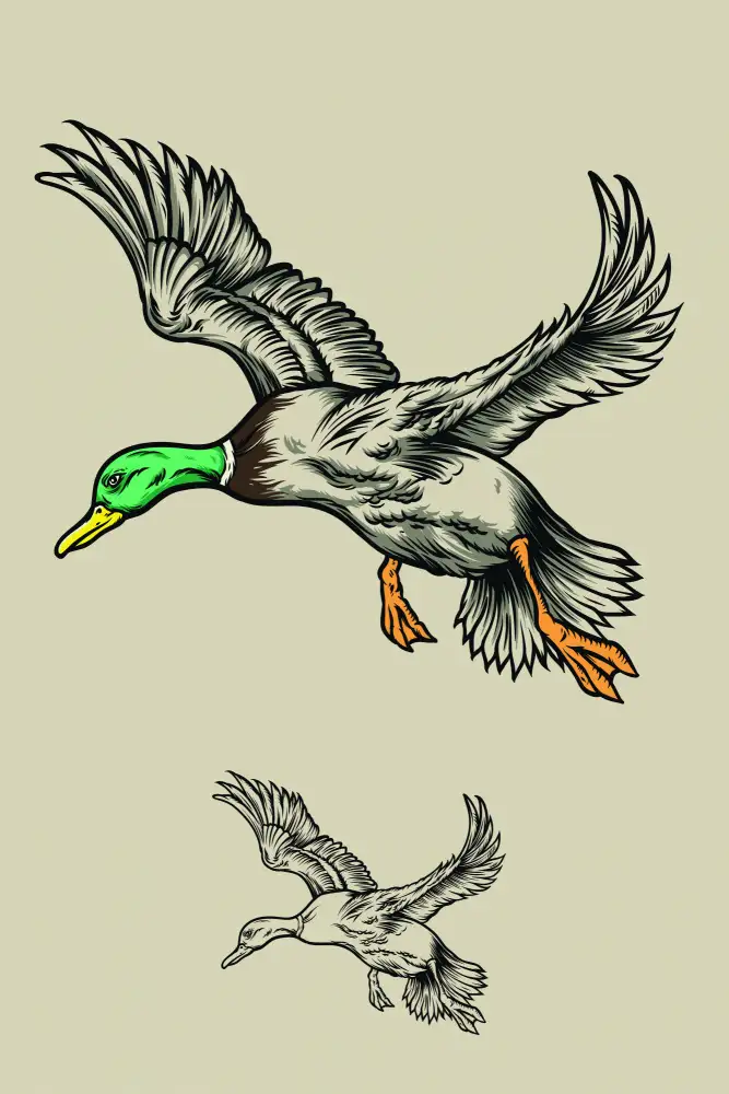 stanley, jay: Fliegende Enten