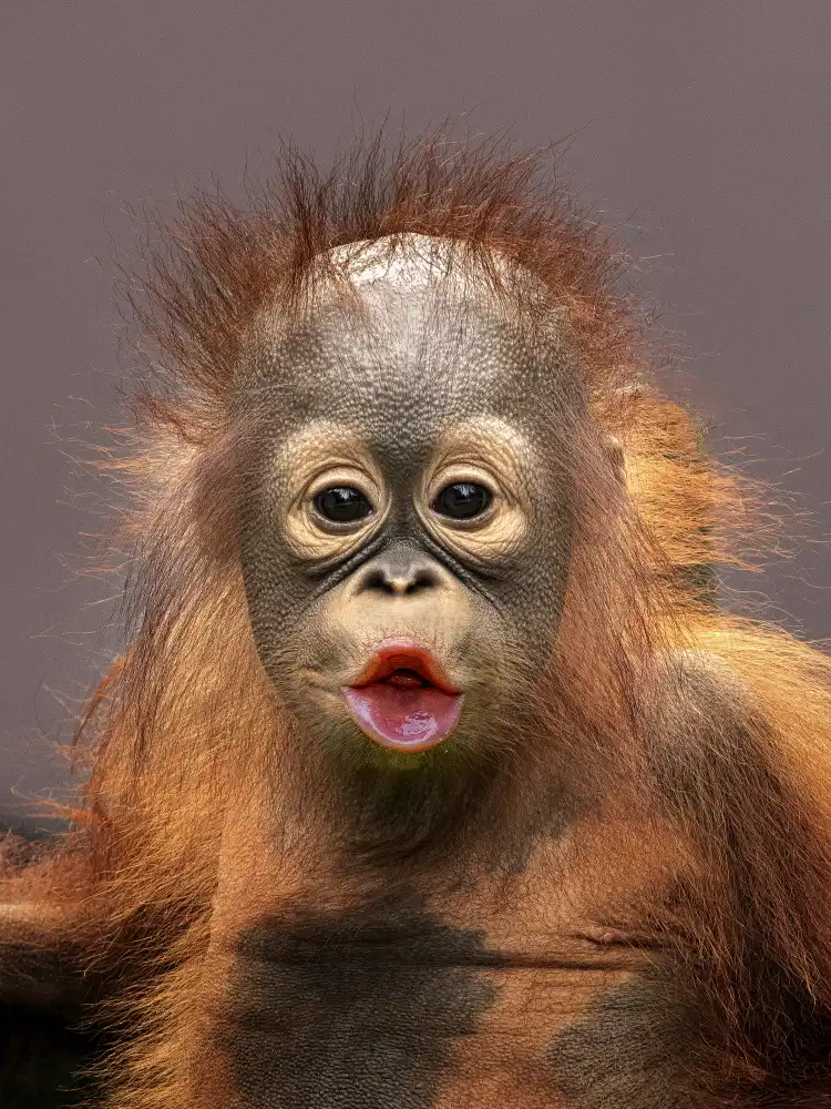 Dennaga, Prabu: kisses
