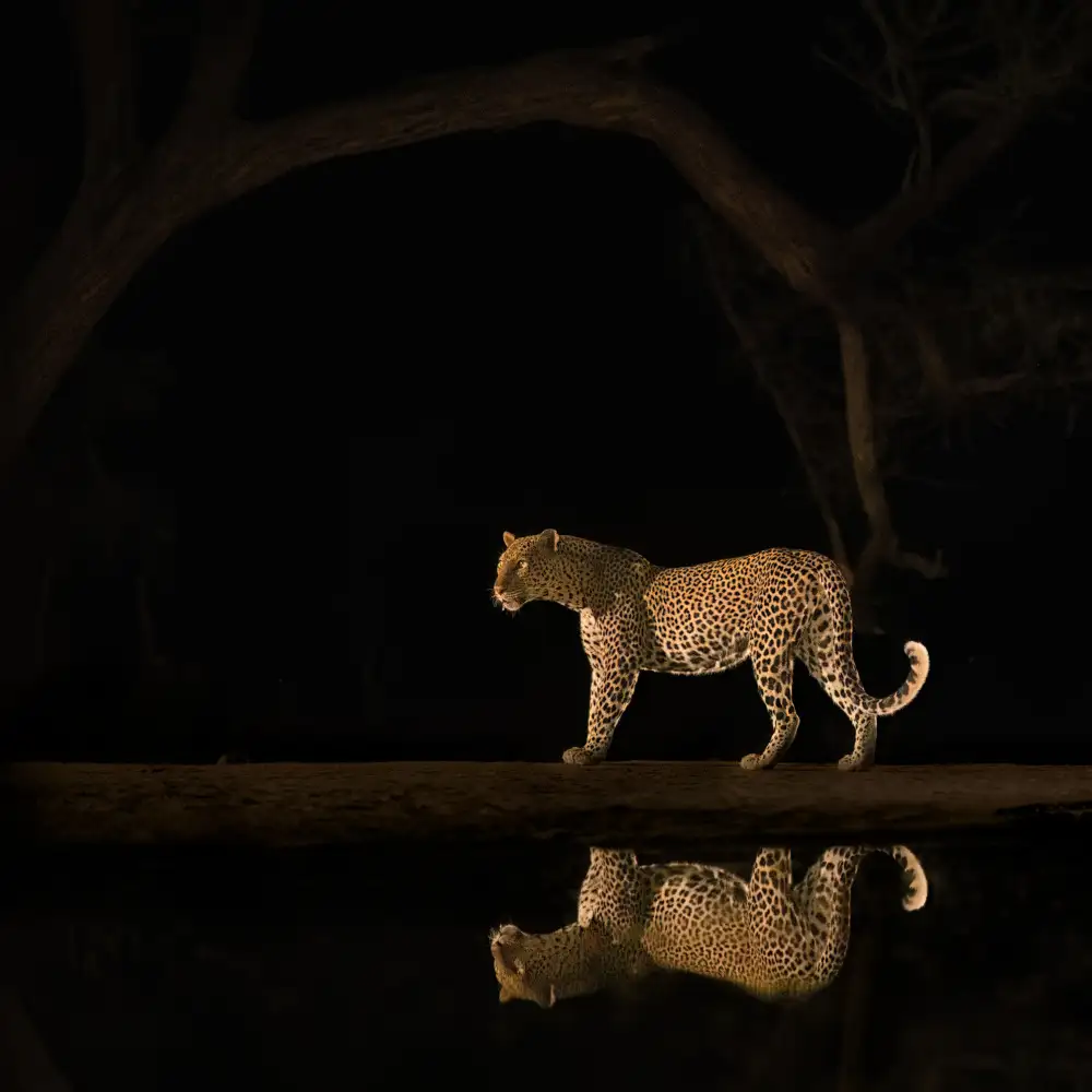 LI, MIN: Reflejo invertido en el agua.