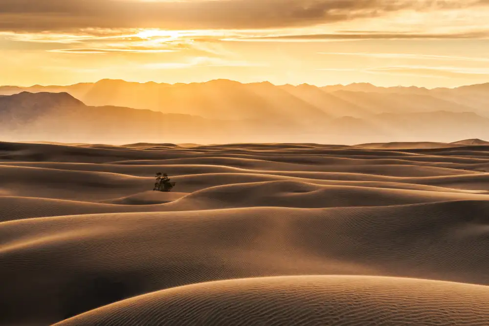 Lu, Catherine: Goldene Strahlen über Sanddünen