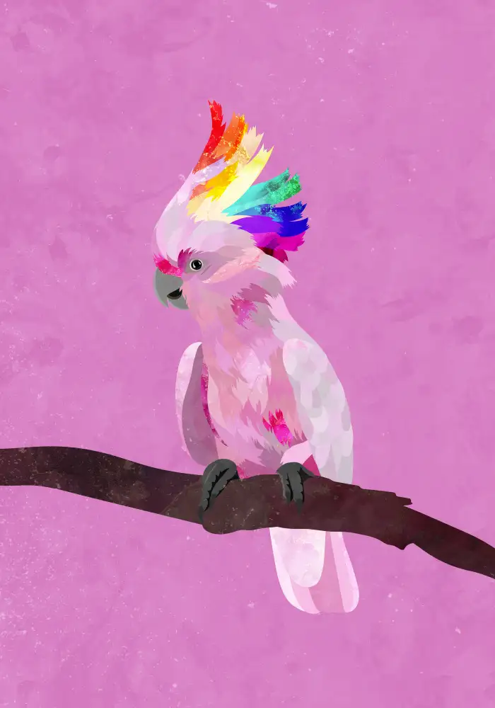 Manovski, Sarah: Pride Galah