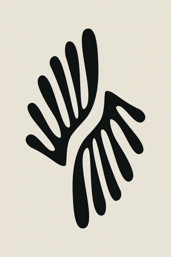 stanley, jay: Henri Matisse kolekce černých řas #1