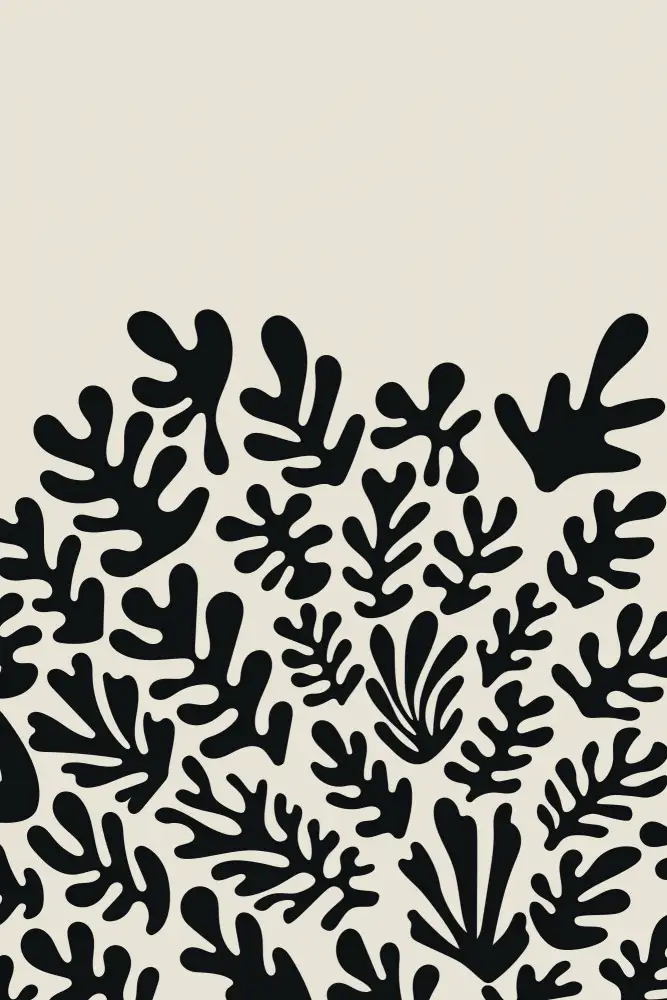 stanley, jay: Colección de algas negras Henri Matisse #2