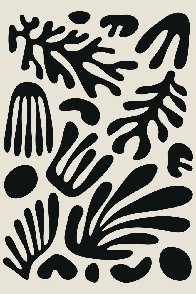 stanley, jay: Henri Matisse Schwarzalgen-Sammlung Nr. 3