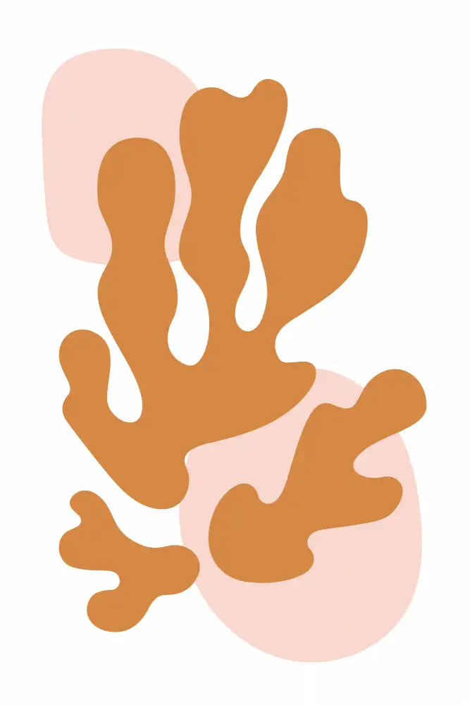 stanley, jay: Henri Matisse Collection #2