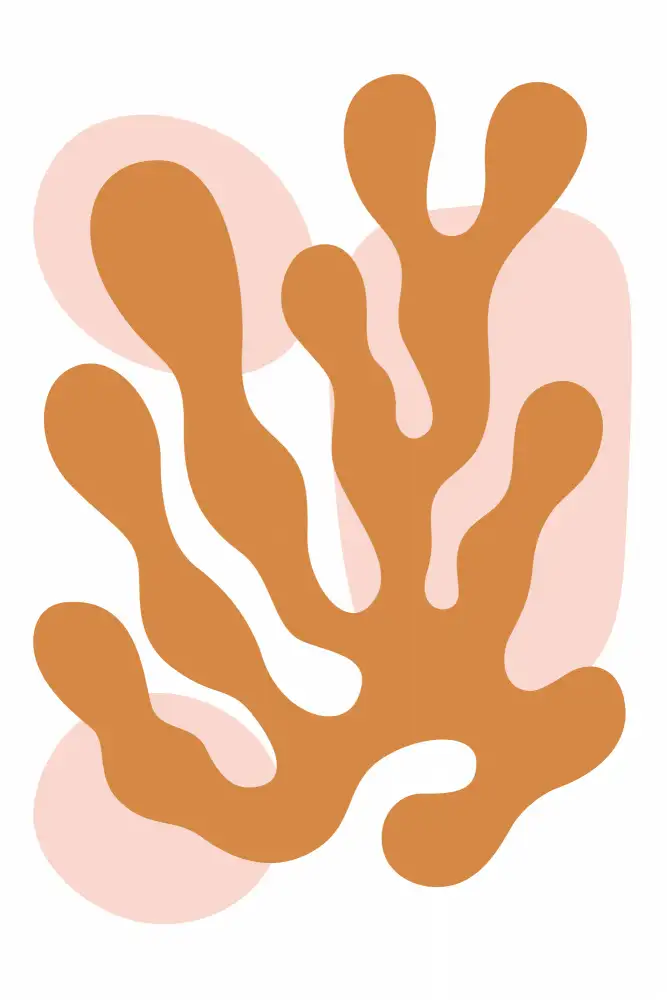 stanley, jay: Collection Henri Matisse #7