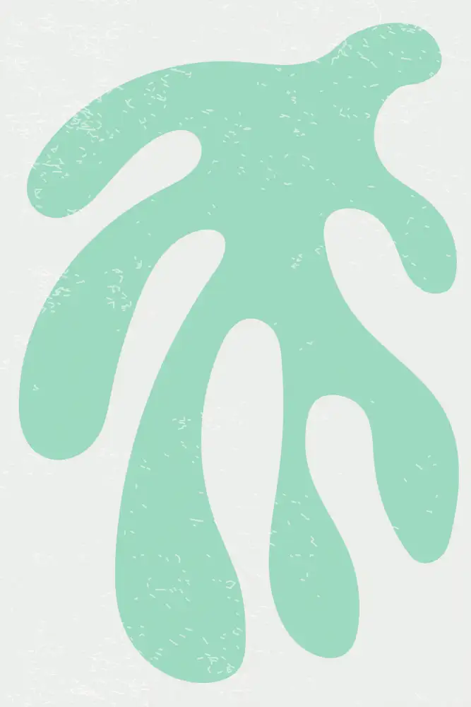 stanley, jay: Řasa Henriho Matisse č. 8