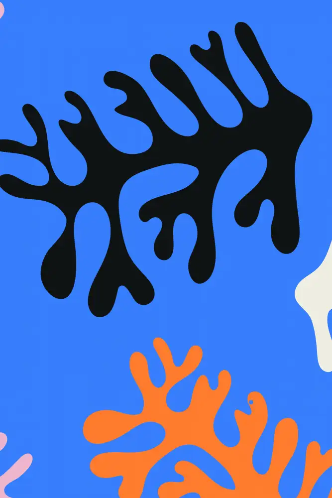 stanley, jay: Les Fabuleuses Algues #1 d'Henri Matisse