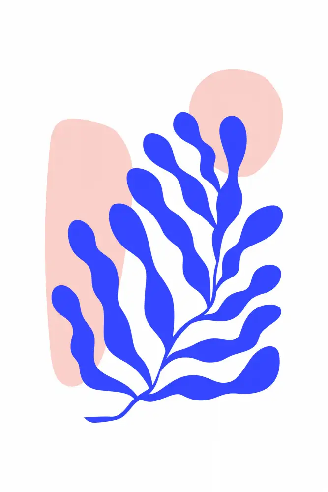 stanley, jay: Conjunto Henri Matisse #4