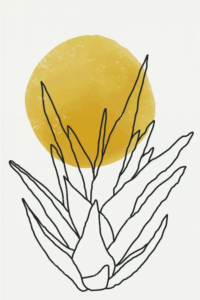 stanley, jay: Abstract Agave Sunshine #3