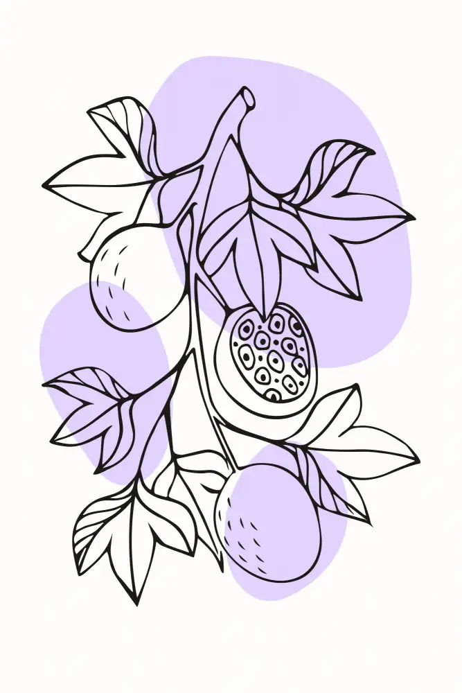 stanley, jay: Boho Fruits #1