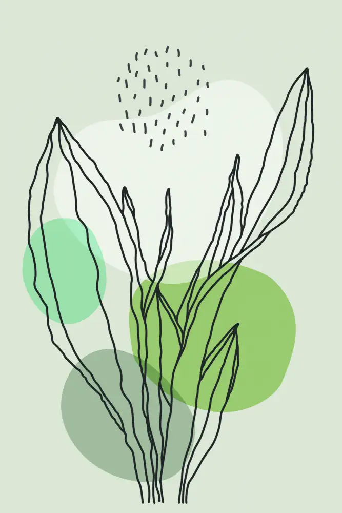 stanley, jay: Color Abstract Plants #3