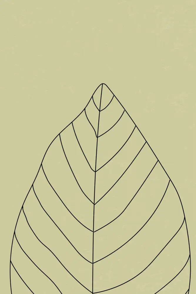 stanley, jay: Feuilles minimales #1