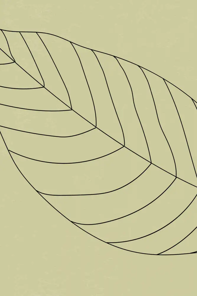 stanley, jay: Minimal Leaves #2