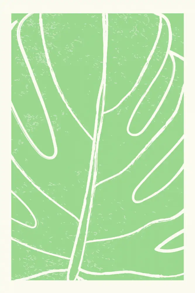 stanley, jay: Minimal Monstera Collection #1