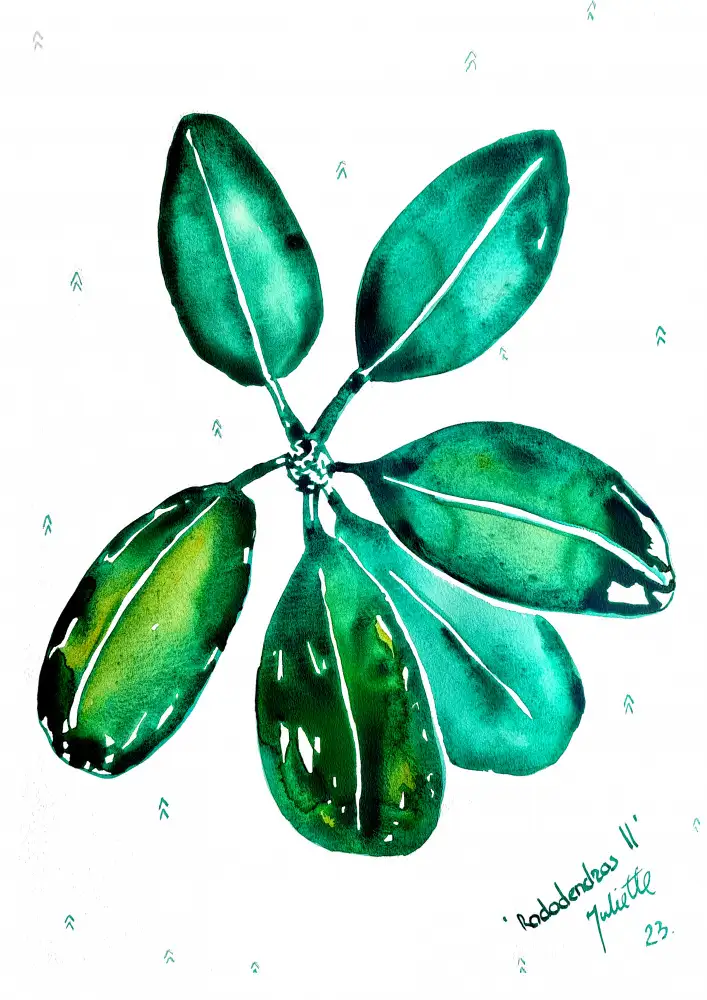 Belickienė, Julija: Rhododendron II
