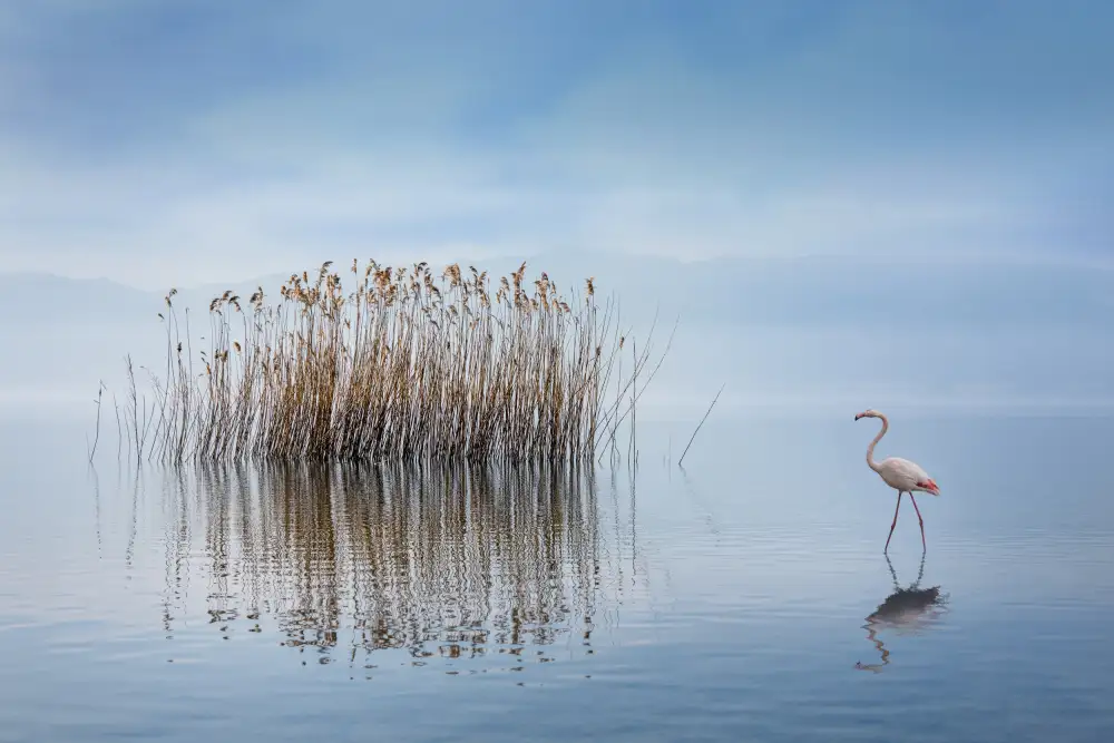 Digalakis, George: Lac Volvi