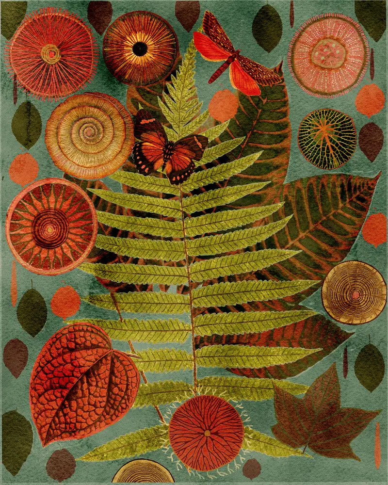 nicolo, giovanna: Terracotta Blues Variation
