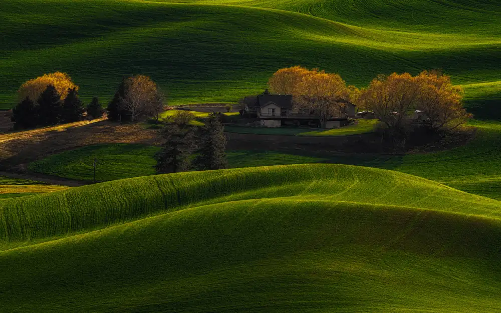 Jacobs, Lydia: Lumière dorée des terres agricoles
