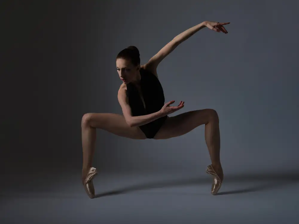 Zanna: Art