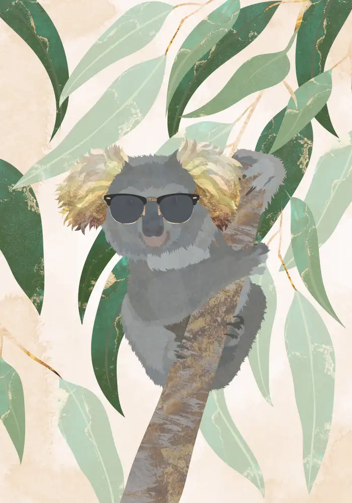 Manovski, Sarah: Koala cool