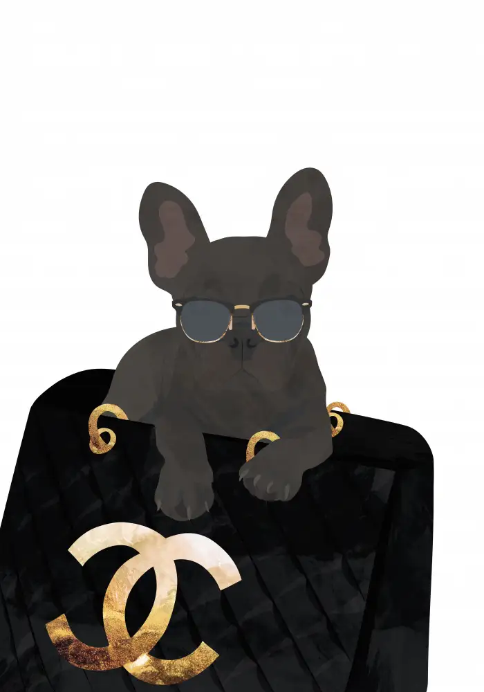 Manovski, Sarah: Frenchie in the bag