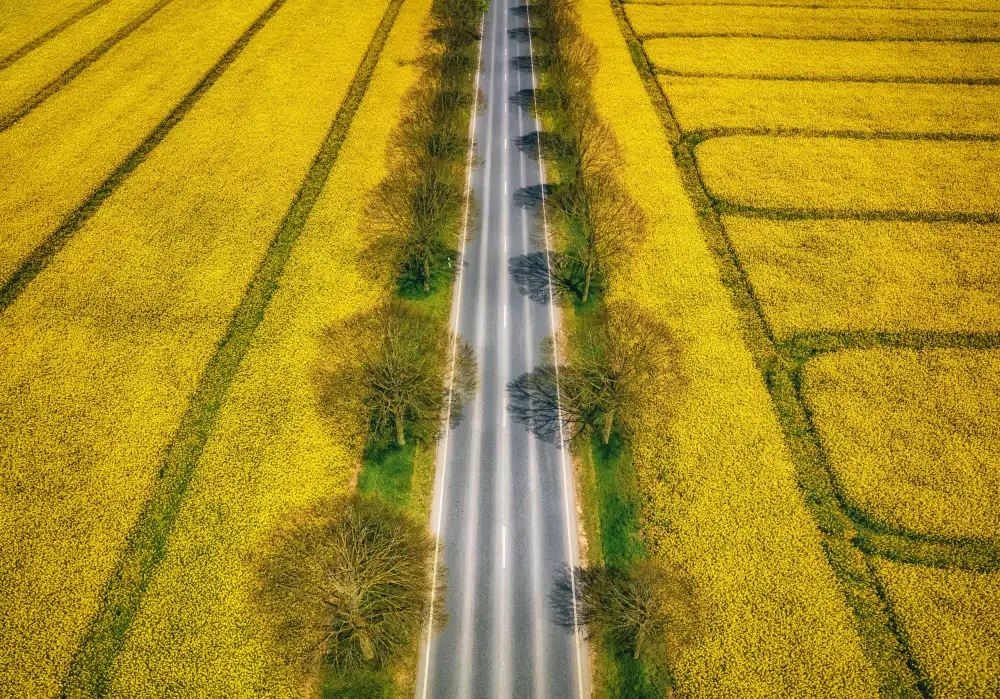 Krier, Guy: Spring