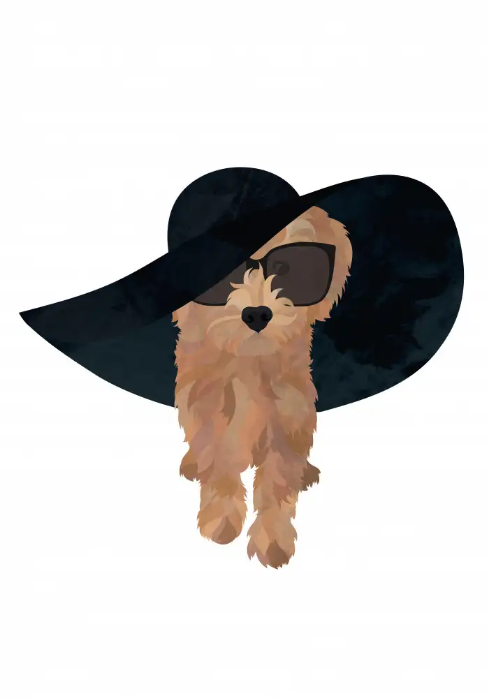Manovski, Sarah: Cockapoo Sun Hat