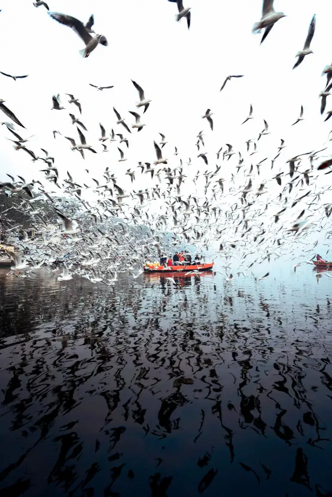 Hegden, R Arun: Neomezené v Yamuna Ghat